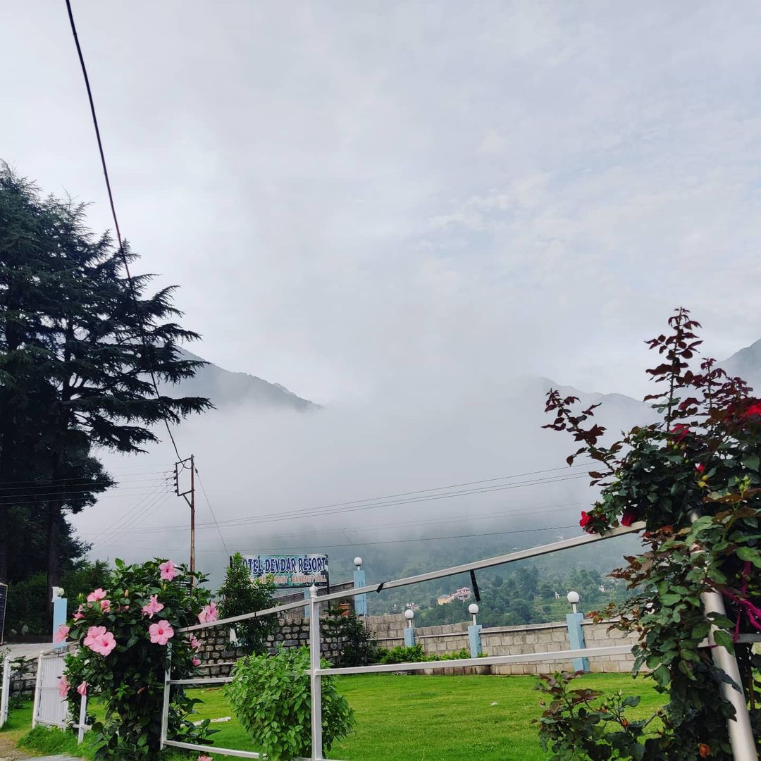Discover the Serenity of Hotel Devdar Resort: Your Perfect Dharamshala Getaway Experience