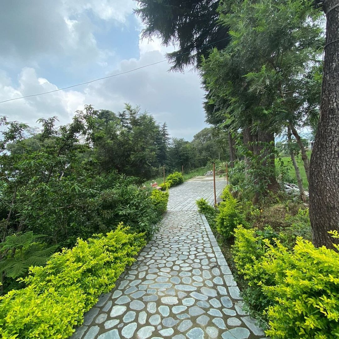 Immerse Yourself in Nature’s Splendor: Unwind at Hotel Devdar Resort Dharamshala