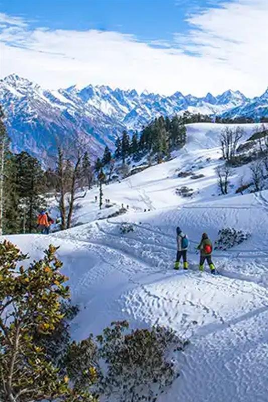Winter Activities